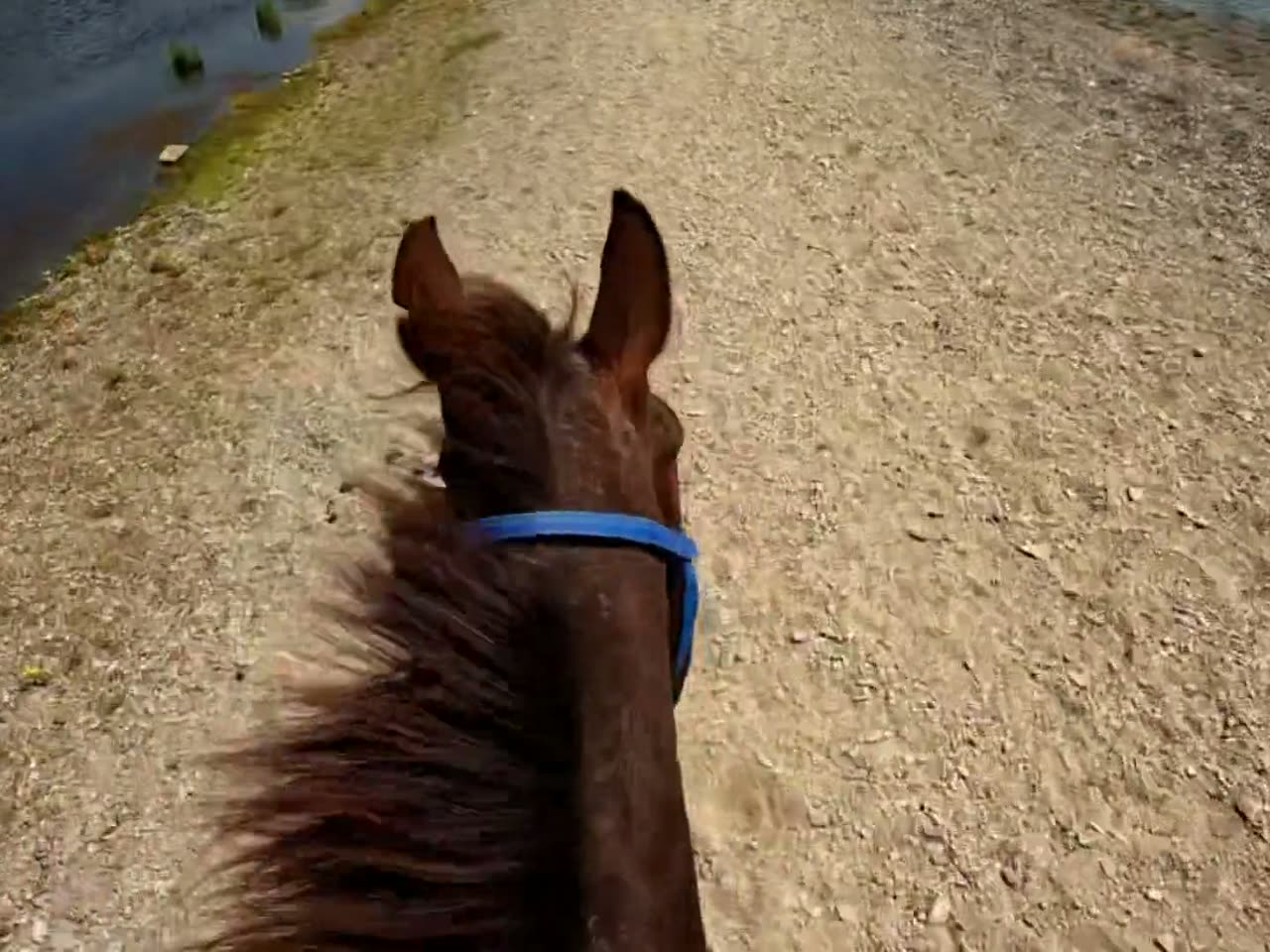 From the saddle